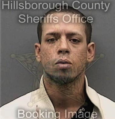 Ronald Martinez, - Hillsborough County, FL 