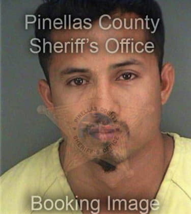 Sidney Mendez, - Pinellas County, FL 