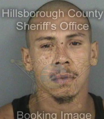 Andynson Rodriguezmercado, - Hillsborough County, FL 