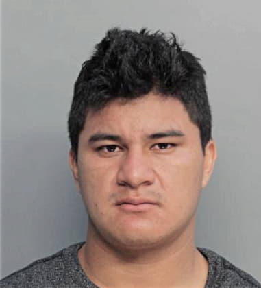 Jesus Romeroalvarez, - Dade County, FL 