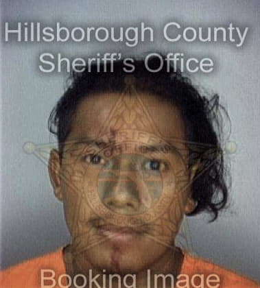 Moises Trejo, - Hillsborough County, FL 