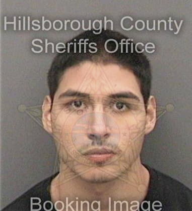 Hector Zavalaserrano, - Hillsborough County, FL 