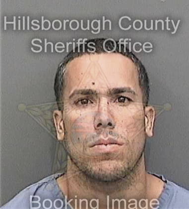 Dylan Horne, - Hillsborough County, FL 