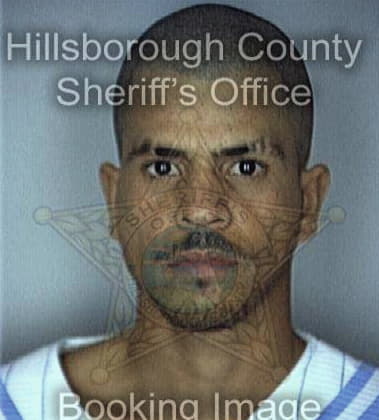 Alan McElveen - Hillsborough County, FL 