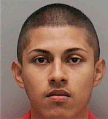 Nelson Morales, - Lee County, FL 