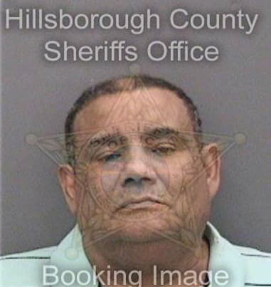 Luis Telleriaiturriagago, - Hillsborough County, FL 