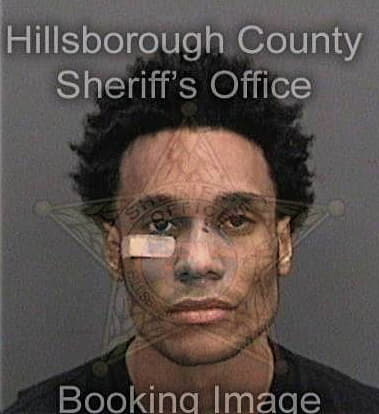 Michael Williams, - Hillsborough County, FL 