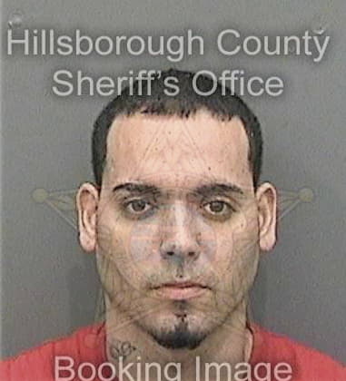 Steven Allen, - Hillsborough County, FL 