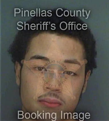 Michael Boriboun, - Pinellas County, FL 