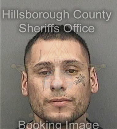 Alex Heberledemelo, - Hillsborough County, FL 