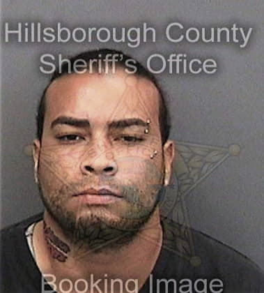 Kenneth Nimphius, - Hillsborough County, FL 