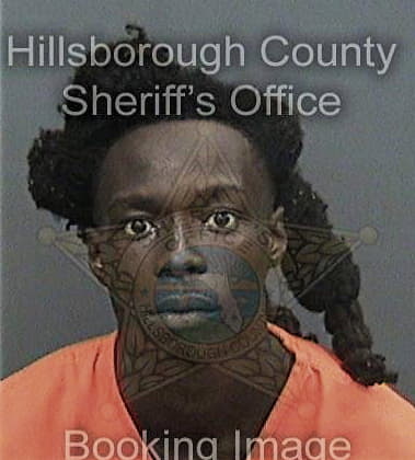 Dashawn Paul, - Hillsborough County, FL 