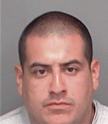 Juan Perezreymundo, - Pinellas County, FL 