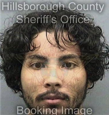 Marcelo Rodriguez, - Hillsborough County, FL 