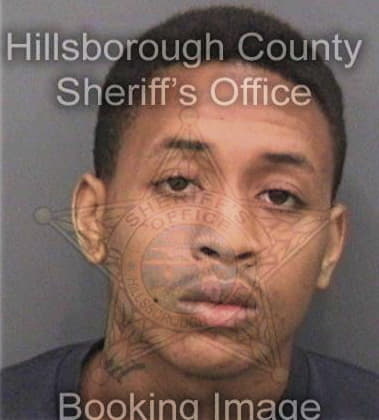 Aaron Sears, - Hillsborough County, FL 