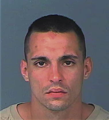 Kenneth Bagarus, - Hernando County, FL 