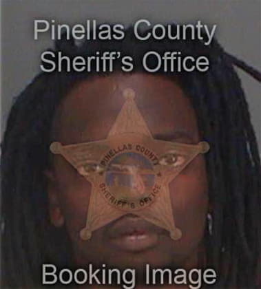 Christopher Bellamy, - Pinellas County, FL 