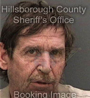 David Bonillaafandor - Hillsborough County, FL 