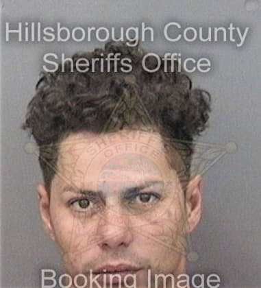 Aaron Dittmore, - Hillsborough County, FL 