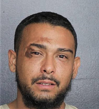 Dave Gomez, - Broward County, FL 