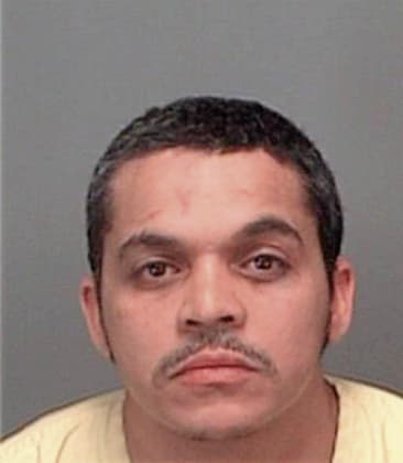 Faustino Hernandez, - Pinellas County, FL 