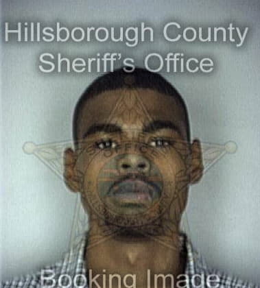 Witson Joseph, - Hillsborough County, FL 