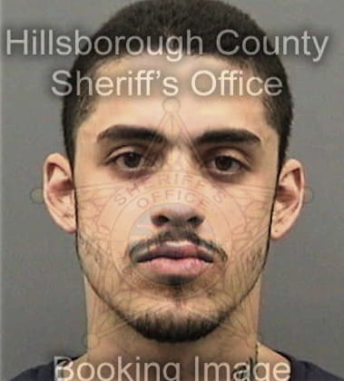 Fabian Padron, - Hillsborough County, FL 