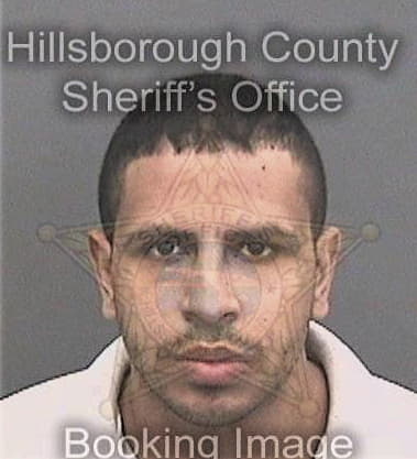 Brian Ramirez, - Hillsborough County, FL 