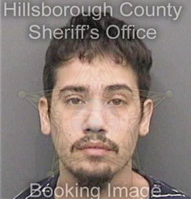 Alexander Tierney, - Hillsborough County, FL 