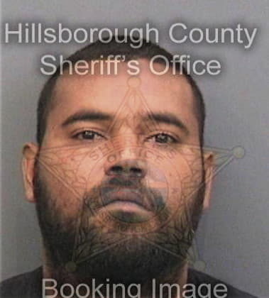 Kenneth Williams, - Hillsborough County, FL 