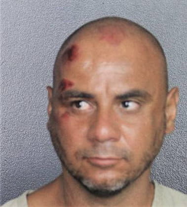 Jerald Flores-Gonzalez, - Broward County, FL 