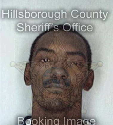 Damon Fortson, - Hillsborough County, FL 