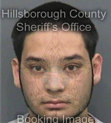 Sean Holton, - Hillsborough County, FL 