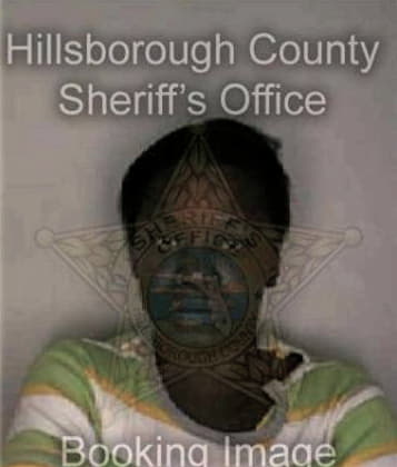 Donna McCall - Hillsborough County, FL 