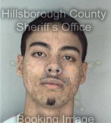 Matthew McCartney - Hillsborough County, FL 