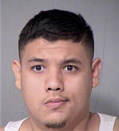 David Norton - Maricopa County, AZ 