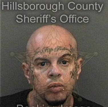 Alexander Brinkley - Hillsborough County, FL 