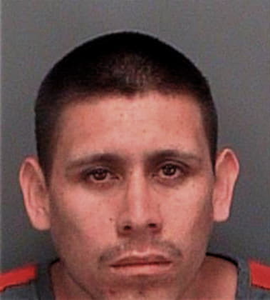 Arnaldo Burgos, - Pinellas County, FL 