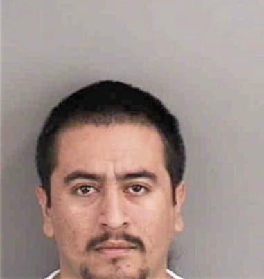 Erwin Castillo, - Collier County, FL 