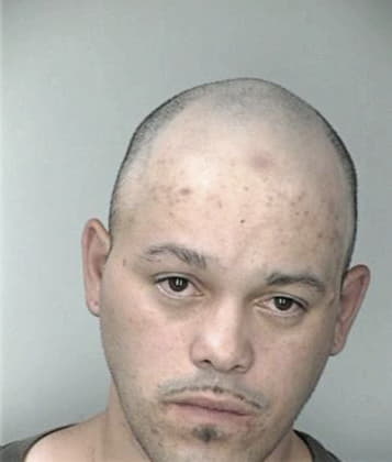 Ivan Florescedillo, - Hillsborough County, FL 