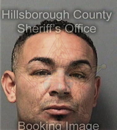 Jorge Gonzalez - Hillsborough County, FL 