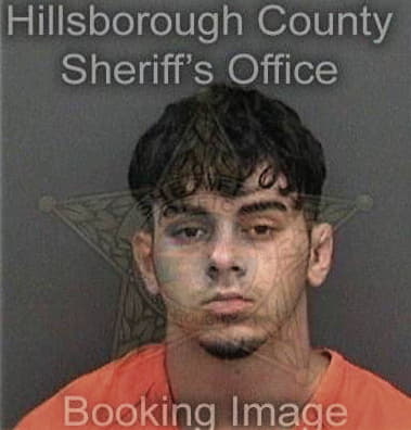 Michael Hummel, - Hillsborough County, FL 