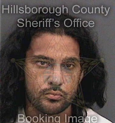 Emmanuel Martinezortiz, - Hillsborough County, FL 