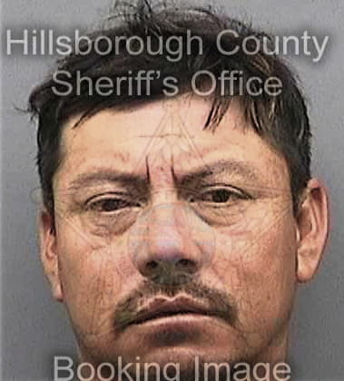 Robert Pierce, - Hillsborough County, FL 