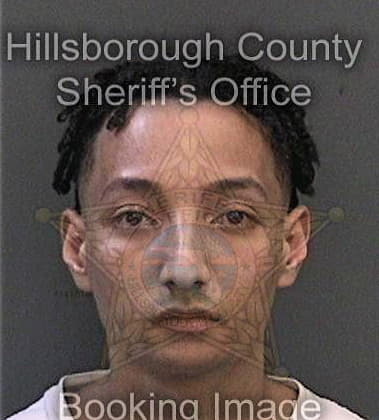 Robert Vincent, - Hillsborough County, FL 