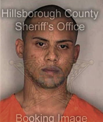 Luis Garcia, - Hillsborough County, FL 