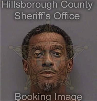 Elias Martinezalcantara, - Hillsborough County, FL 