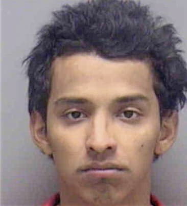 Luis Mateo, - Lee County, FL 