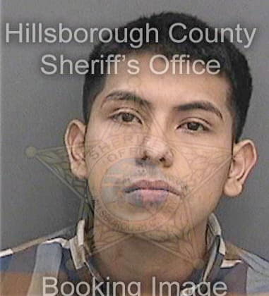 Michael Rosian, - Hillsborough County, FL 