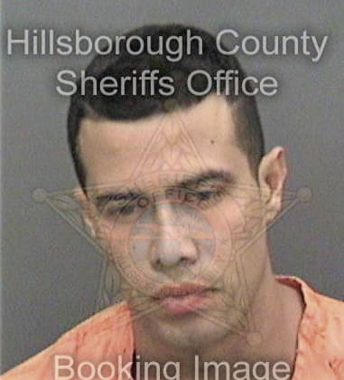 Alex Smith, - Hillsborough County, FL 